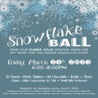 SnowFlakeBall2023 (1).jpg